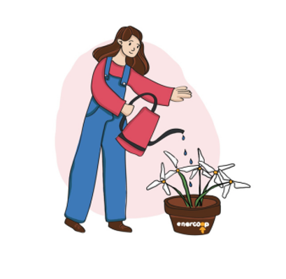 illustrations enercoop